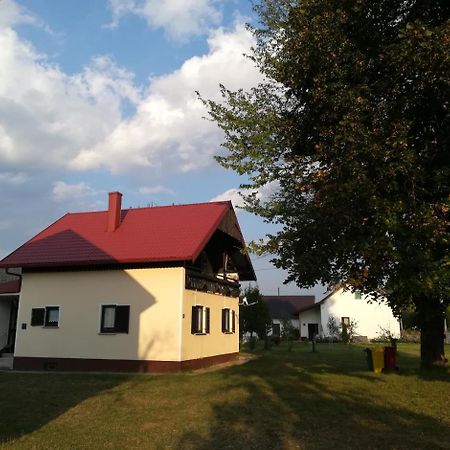Villa Natali Donji Babin Potok Kültér fotó