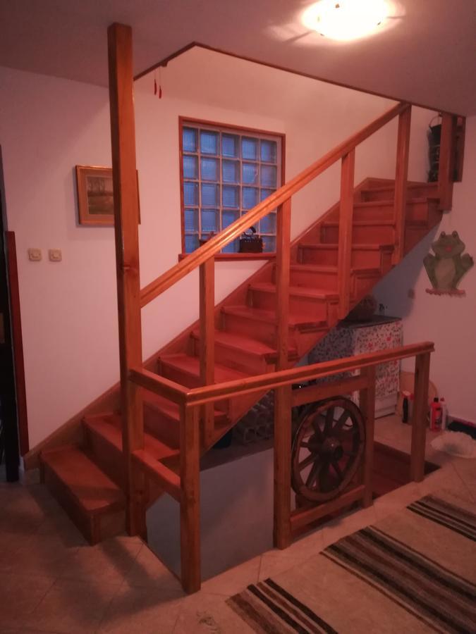 Villa Natali Donji Babin Potok Kültér fotó
