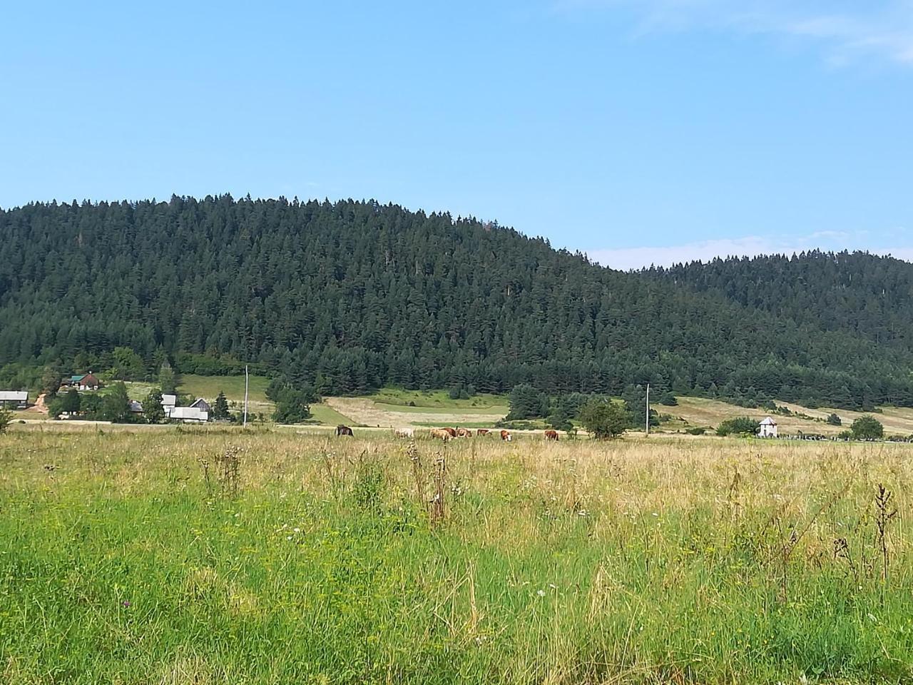 Villa Natali Donji Babin Potok Kültér fotó