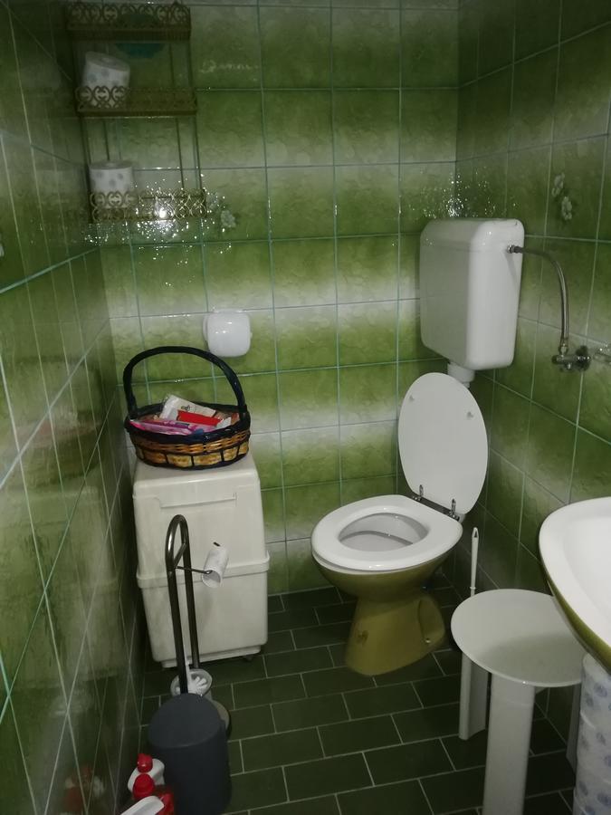 Villa Natali Donji Babin Potok Kültér fotó