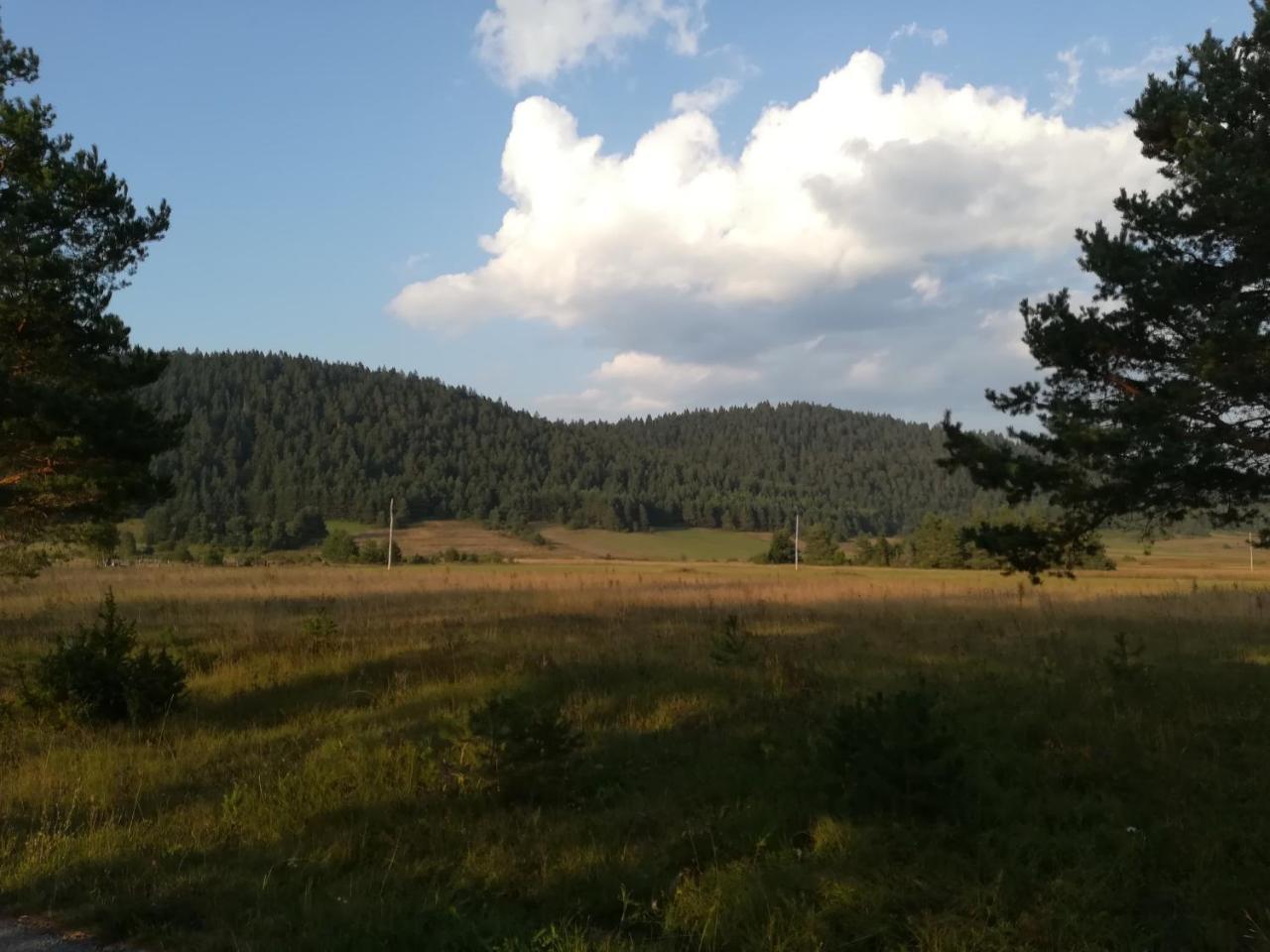 Villa Natali Donji Babin Potok Kültér fotó