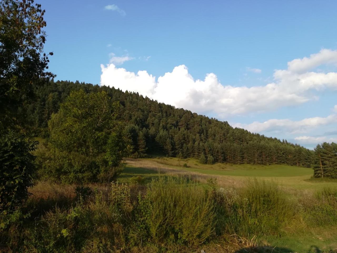 Villa Natali Donji Babin Potok Kültér fotó