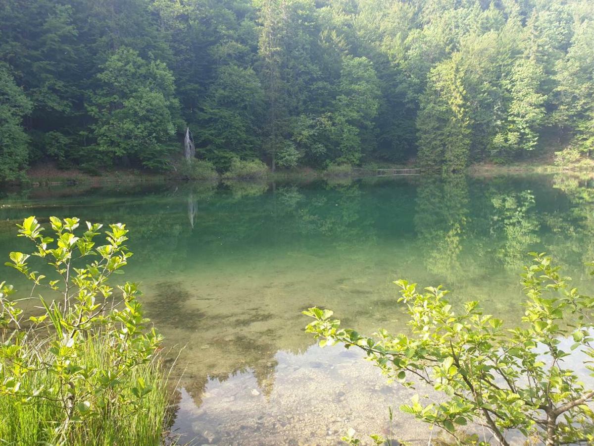 Villa Natali Donji Babin Potok Kültér fotó