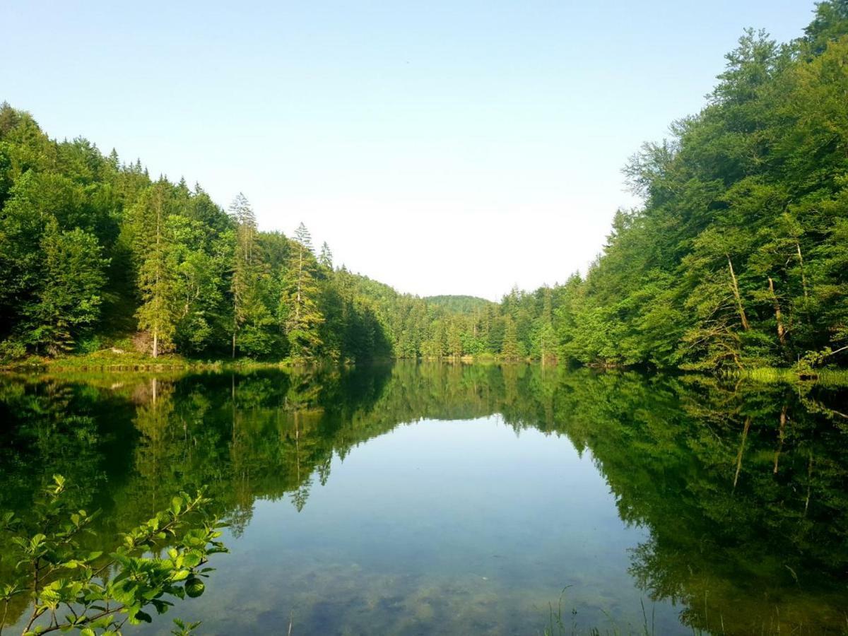 Villa Natali Donji Babin Potok Kültér fotó