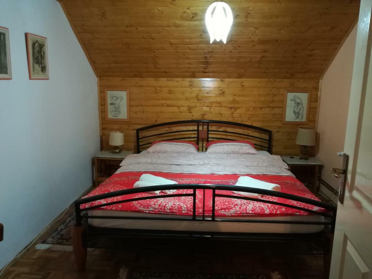 Villa Natali Donji Babin Potok Kültér fotó