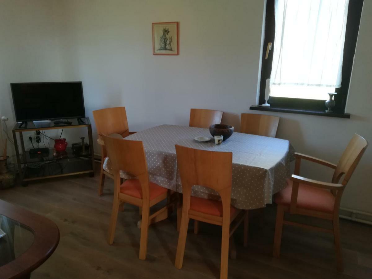 Villa Natali Donji Babin Potok Kültér fotó